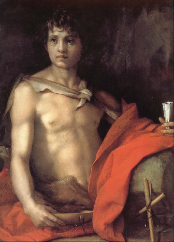 Andrea del Sarto Portrait of younger Joh Norge oil painting art